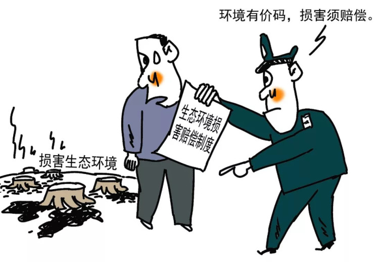 离婚冷静期最新规定，深度解读与影响分析