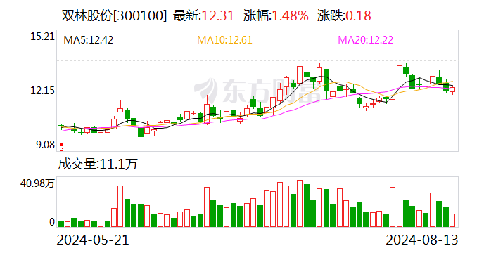 双林股份最新状况分析