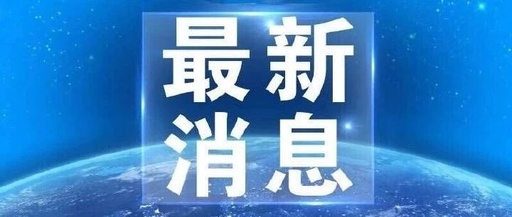 中鼎股份最新公告深度解读