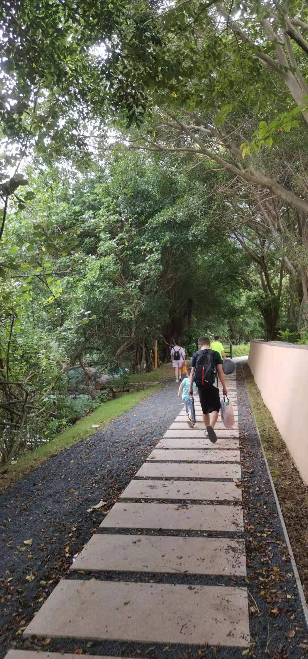 杨梅坑天然潭，最新探访与体验