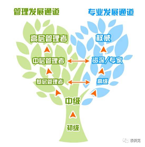 一道贯通最新理念与技术发展的探索之路