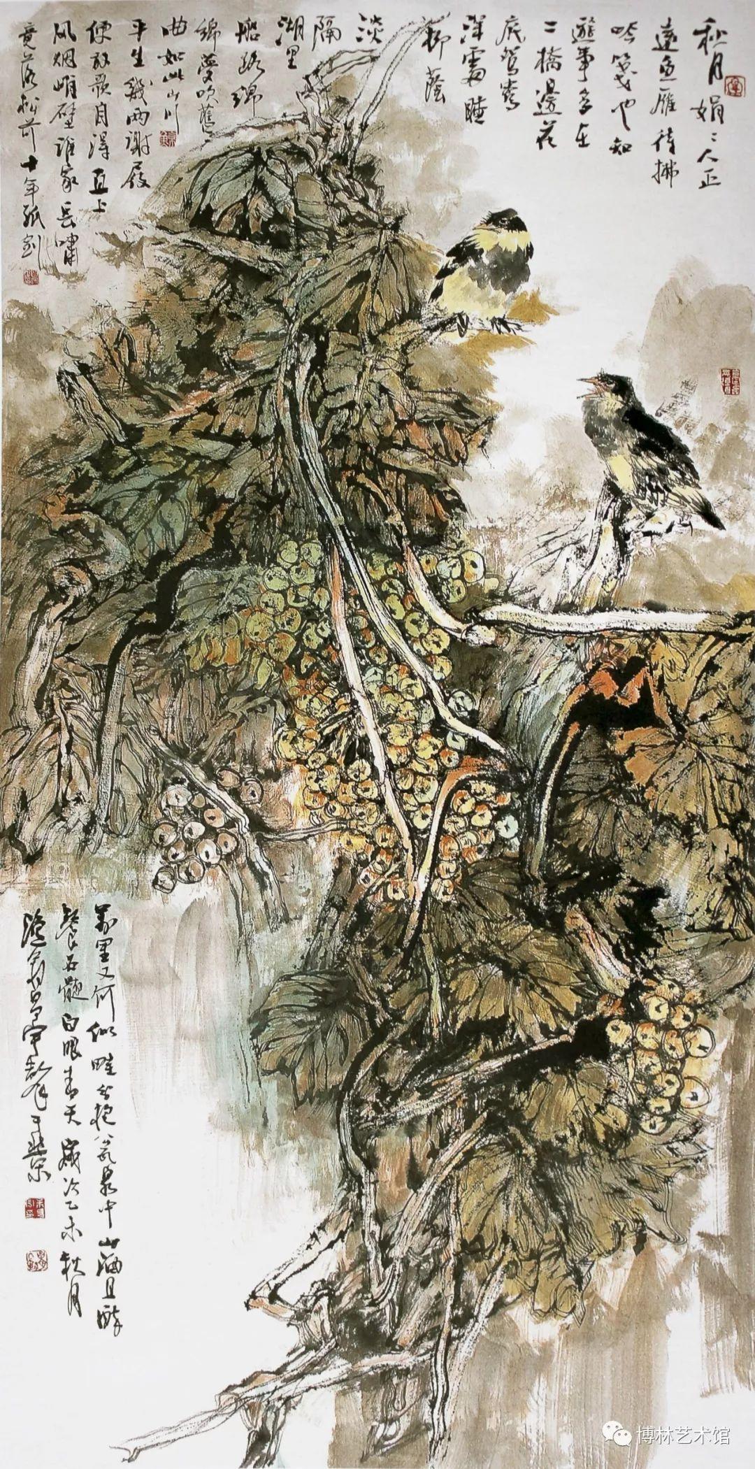 本地人最新视频，探索城市的新面貌